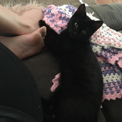 Jinx