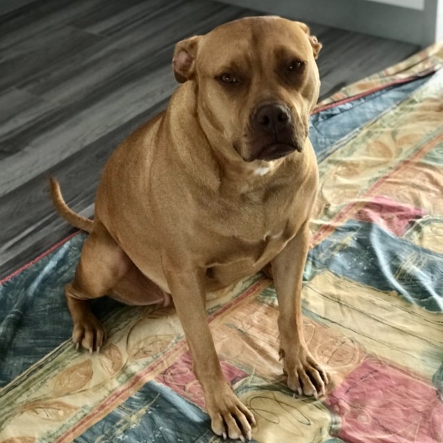 Photo of Sugar ** Dear Girl Waiting Patiently **