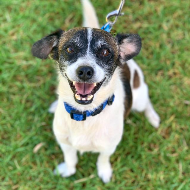 Photo of Oscar 