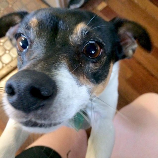 Photo of Spot 