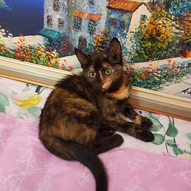 Photo of Candy