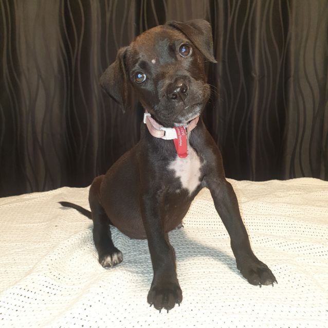 Photo of Remi