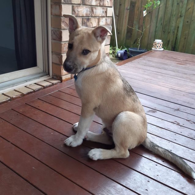 Photo of Kimber