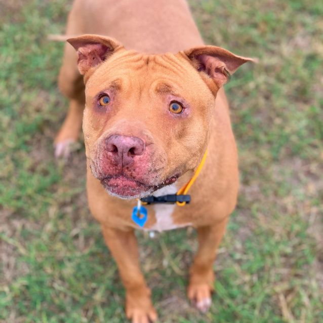 Photo of Phoebe