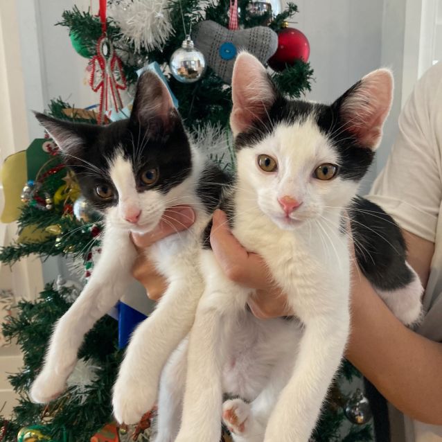 Photo of Pancake & Bagel
