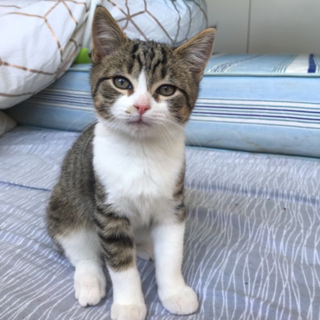 Photo of Finley 