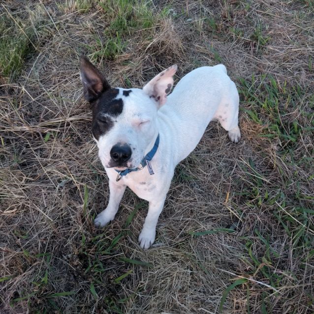 Photo of ♥ Bonnie & Clyde ♥ ~ Play Romps Are The Way To Go