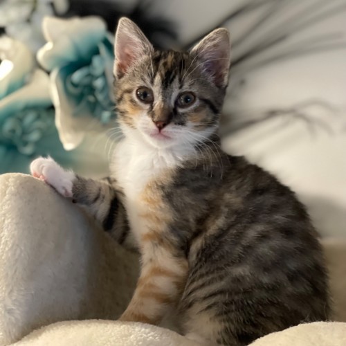 Kali 🥰