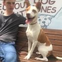 Photo of Mia (On Adoption Trial)