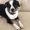 Photo of Mia
