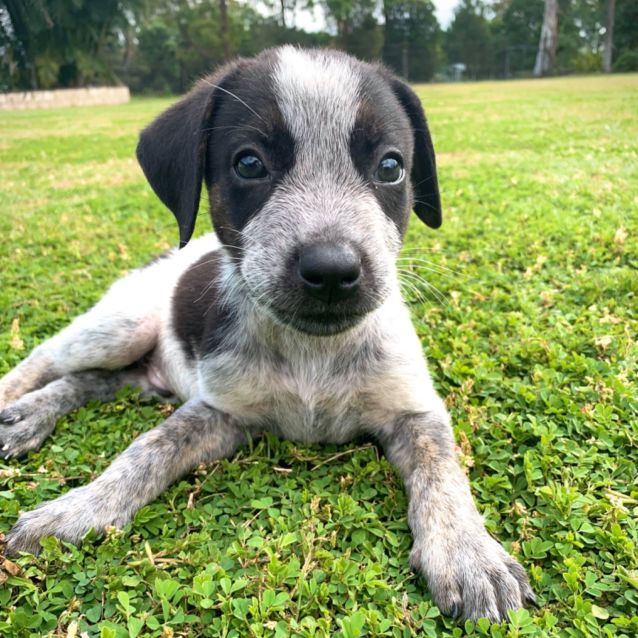 Photo of Mylo
