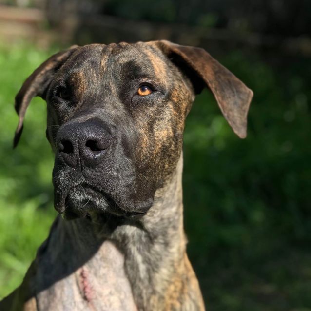 Photo of Jaxie