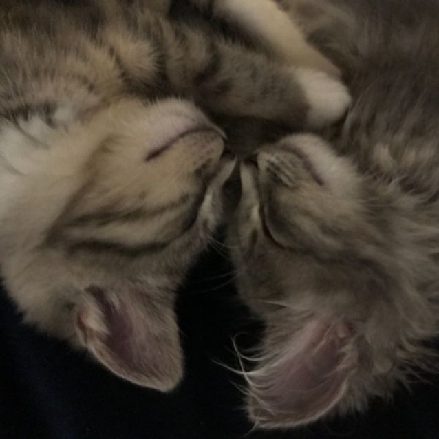 Photo of Jimi & Joani