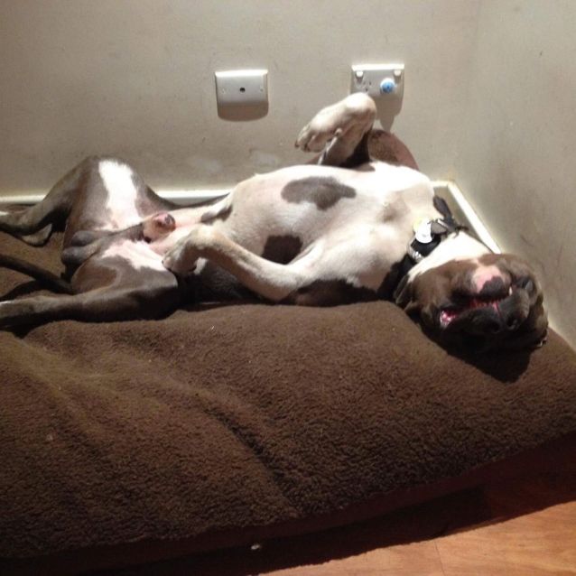 Photo of Eddie Db244