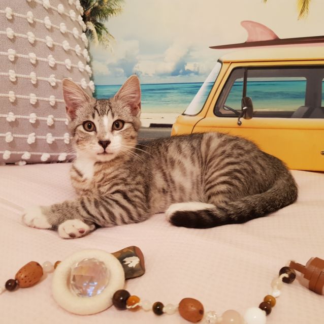 Photo of Louis
