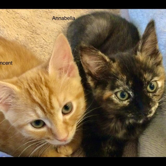 Photo of Vincent And Annabella 