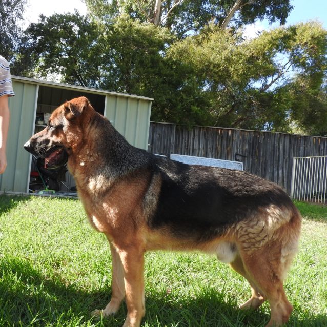 Photo of Zeus (Bonded With Chloe)