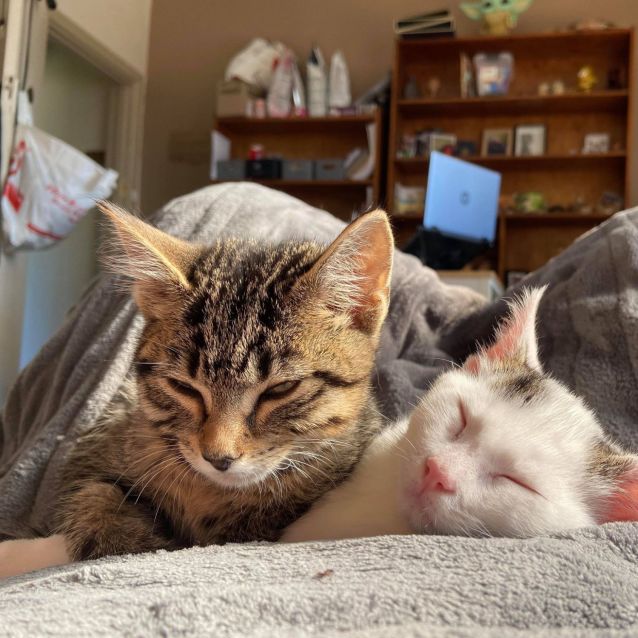 Photo of Dj And Skulzy (Black)