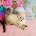 Photo of Molly