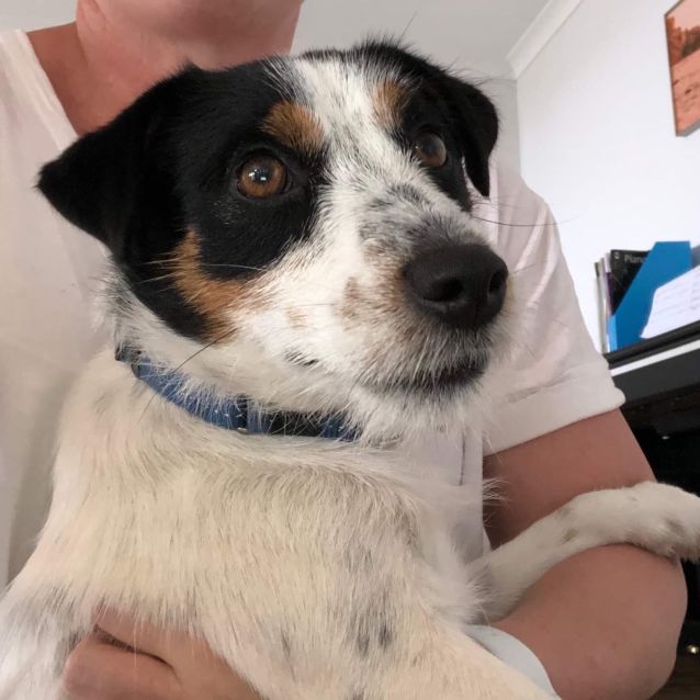 Photo of Harry Db540