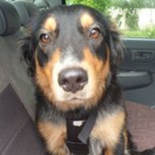 Meisha