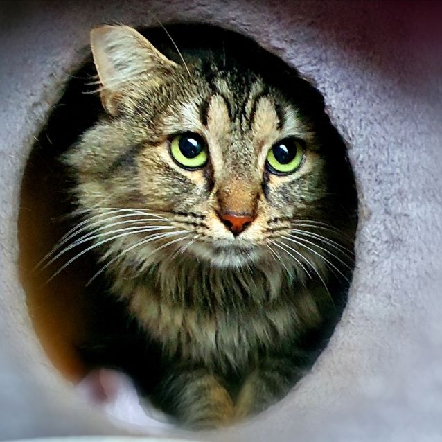 Photo of 💞Mumma💞Jade💞