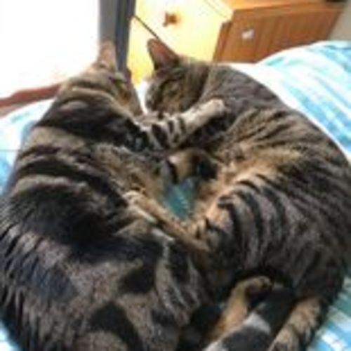 Max & Millie