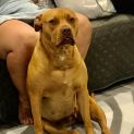 Photo of Sugar ** Dear Girl Waiting Patiently **