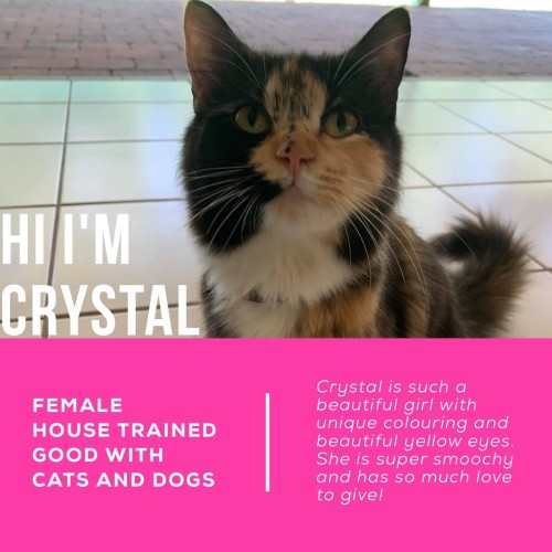 Crystal 