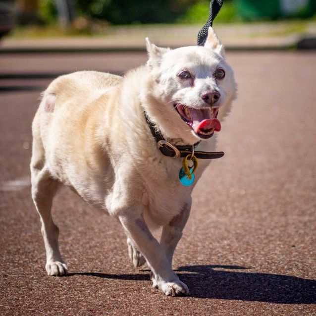 Photo of Nickie Db422 & Dusty Db423