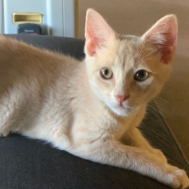 Photo of Kian ☀️