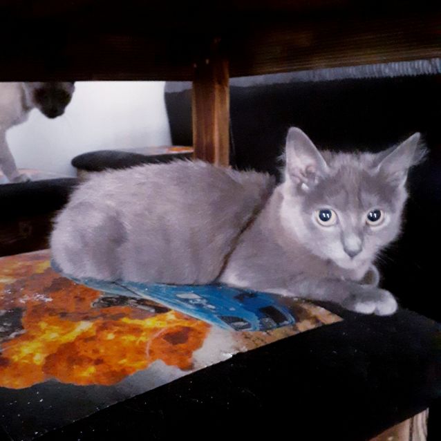 Photo of Axle