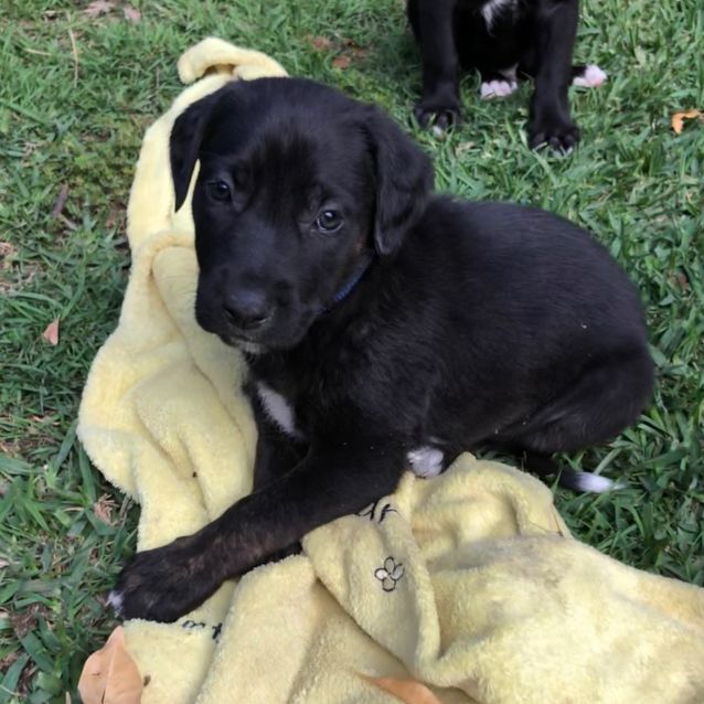 Photo of Navi
