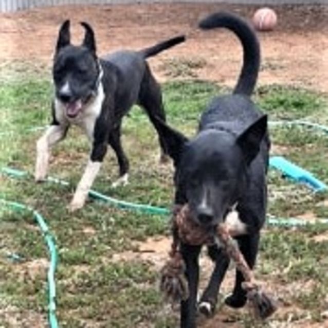 Photo of **On Trial** Jerry