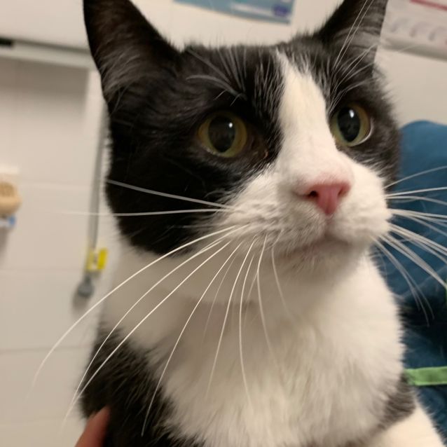 Photo of Texas & Idaho