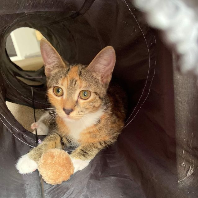 Photo of Hazel