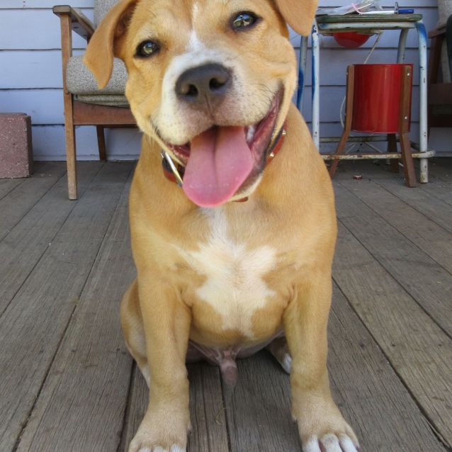 Photo of Cash *On Trial In His New Home*