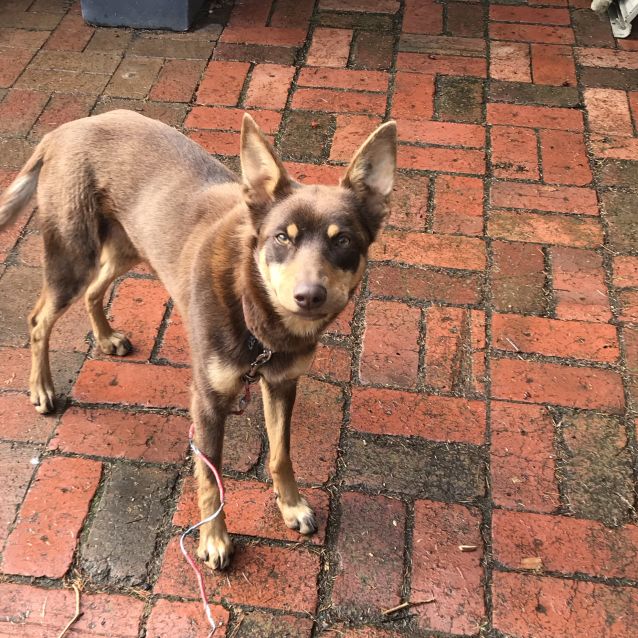 Photo of April **Application Pending**