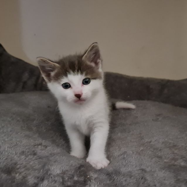 Photo of Buster