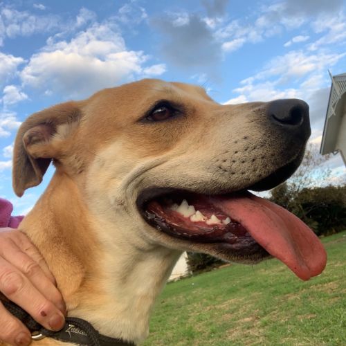 Cassie (on Adoption trial)