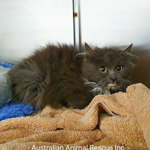 Photo of 💕💜💕Billie💕💜💕