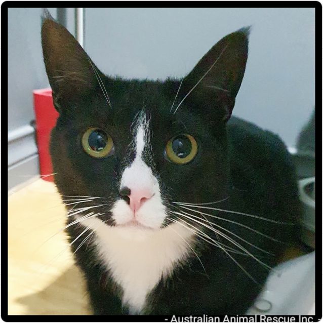 Photo of 🍻🍻Tigger & Patches🍻🍻