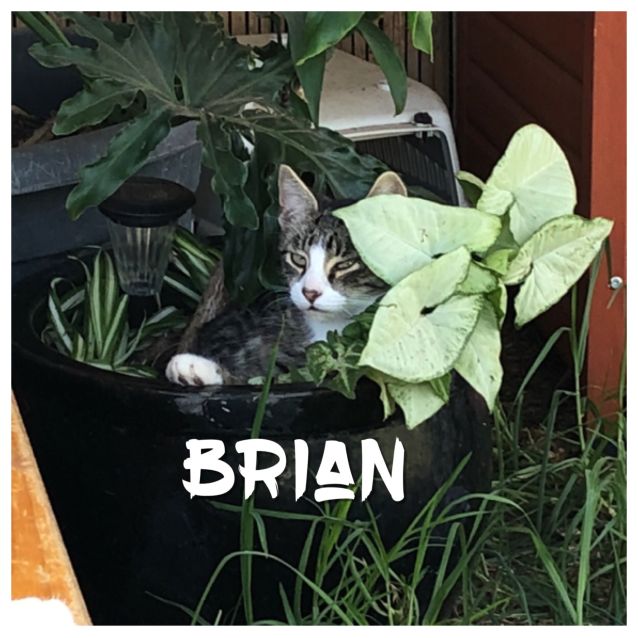 Photo of Brian