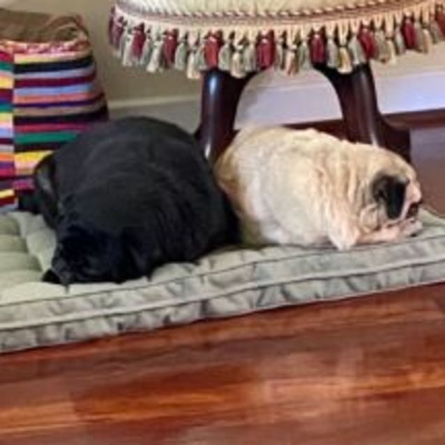 Photo of Meg And Wally 