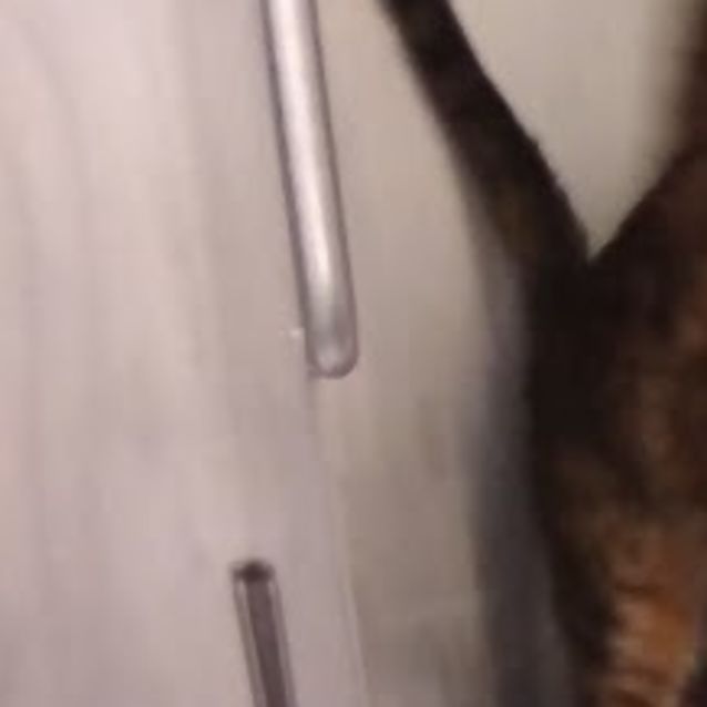 Photo of Lladakh & Zazkar