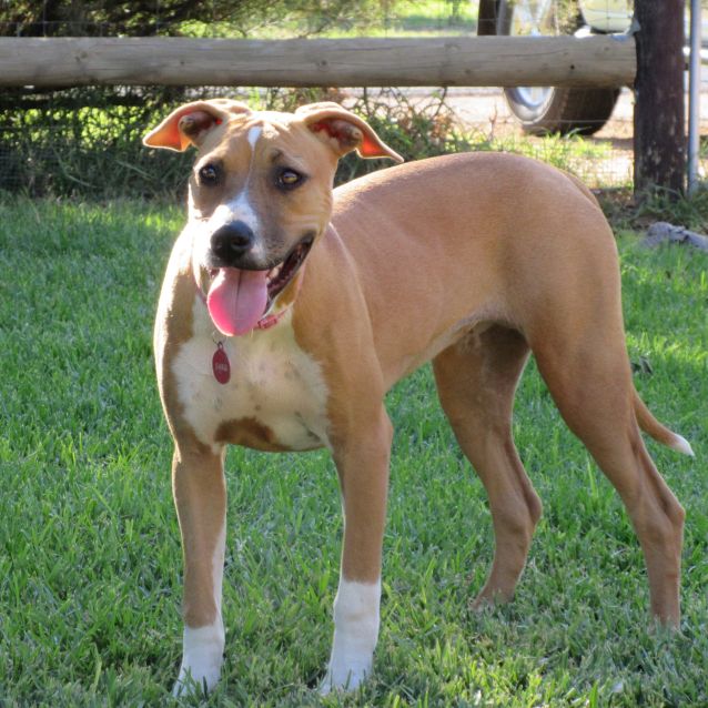 Photo of Florence *On Trial In Her New Home*