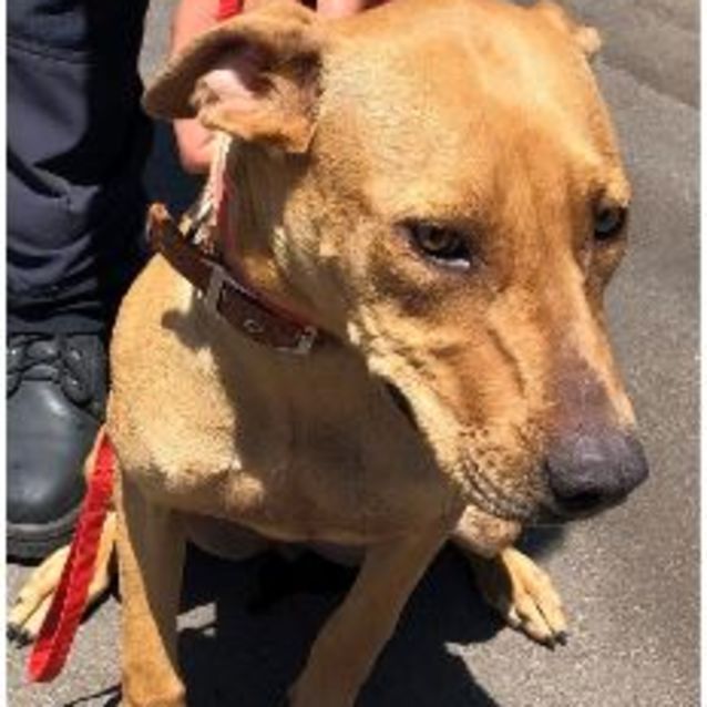 Photo of Coco Dl2394