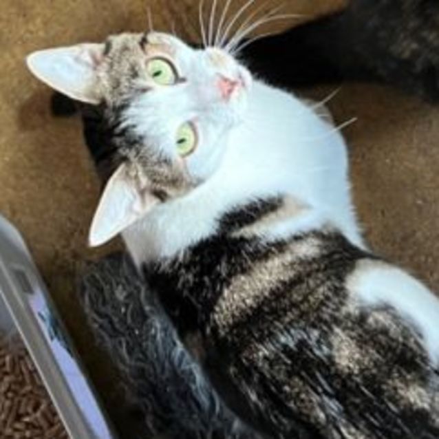 Photo of Prince Lucky 