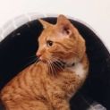 Photo of Presley ❤Meet Me Sat 21/10 @ Best Friends Preston❤