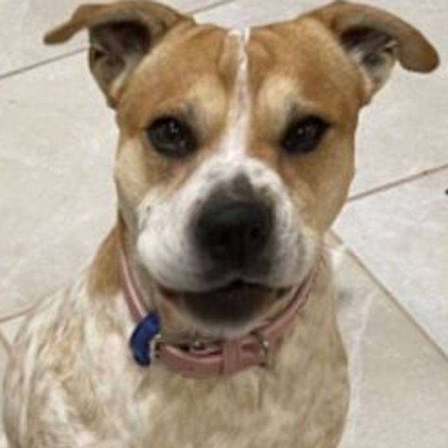 Photo of Lexi And George 